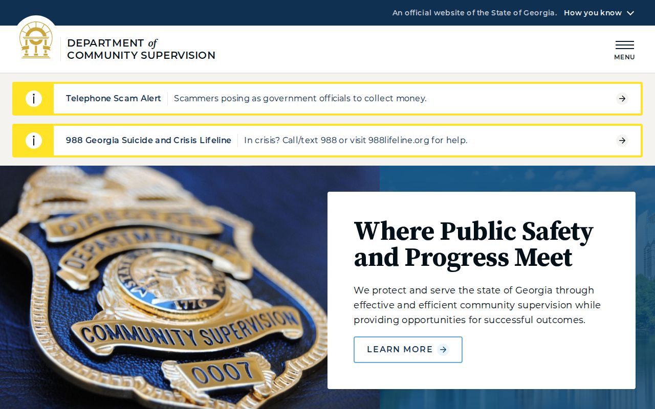 Georgia criminal history Department of Community Supervision system